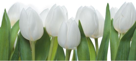 iStock000008712770XLarge