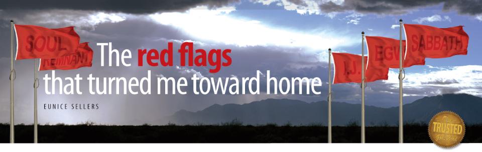 flags1